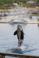 Marineland-009