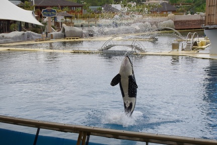 Marineland-010