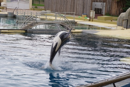 Marineland-011