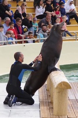 Marineland-175