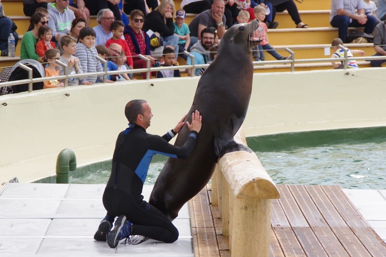 Marineland-176.JPG