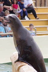 Marineland-181