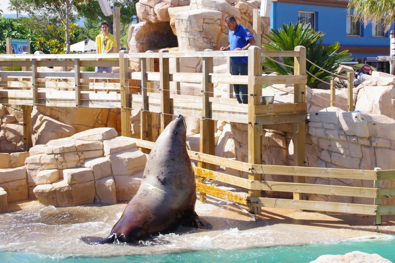 Marineland-88.JPG