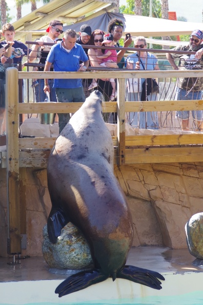 Marineland-93.JPG