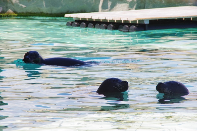 Marineland-33.JPG