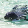 Marineland-34.JPG