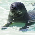 Marineland-35.JPG