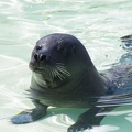 Marineland-36
