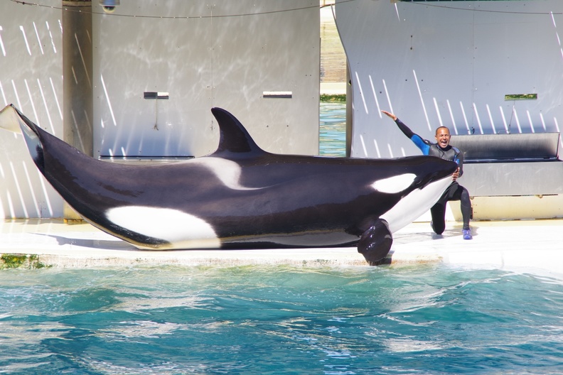 Marineland-50.JPG