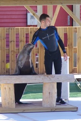 Marineland-02