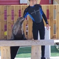 Marineland-02