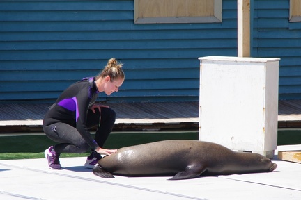 Marineland-04