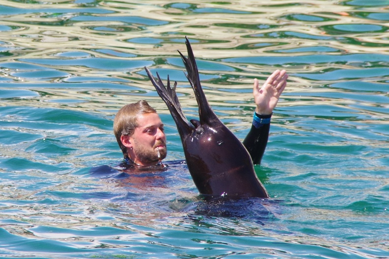 Marineland-07.JPG