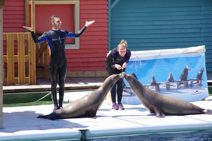 Marineland-14