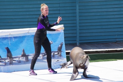 Marineland-15