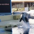 Marineland-01