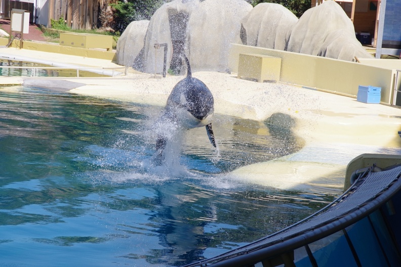 Marineland-05.JPG