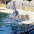 Marineland-05