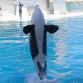 Marineland-07