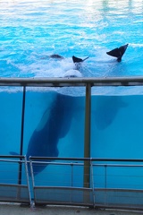 Marineland-09