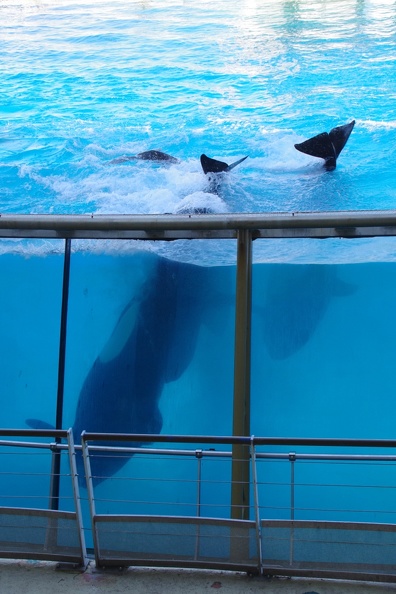 Marineland-09.JPG