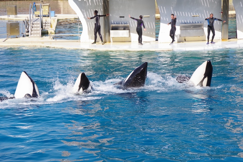 Marineland-15.JPG