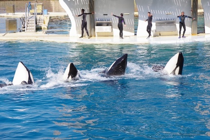 Marineland-15