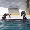 Marineland-17