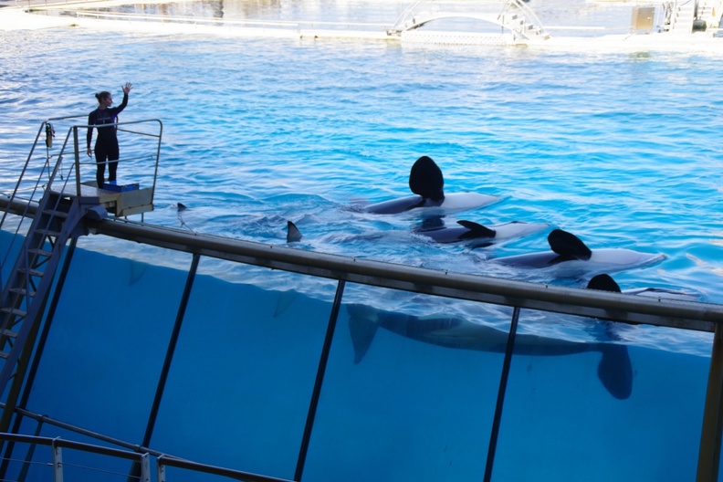 Marineland-20.JPG