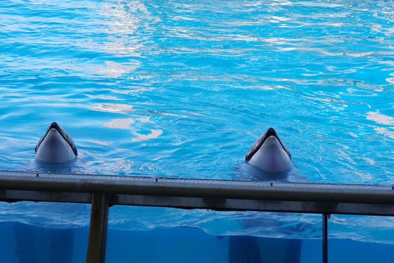 Marineland-21.JPG