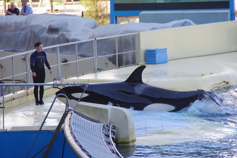 Marineland-22.JPG