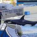 Marineland-22