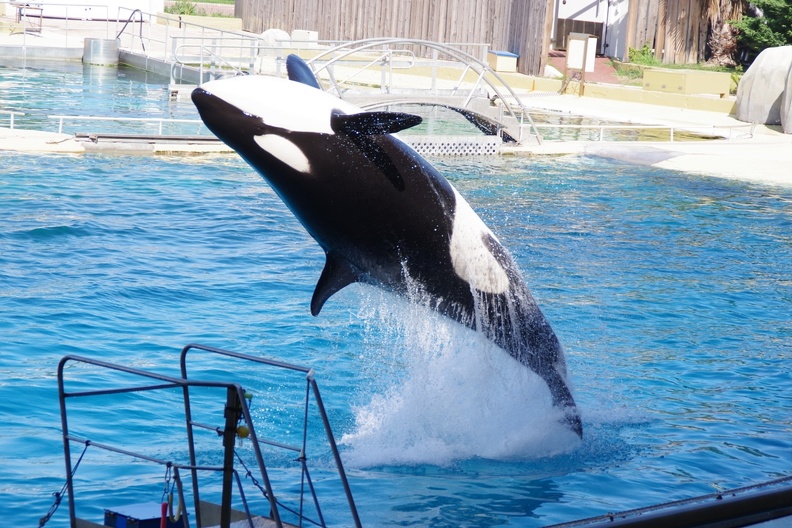 Marineland-24.JPG