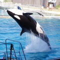 Marineland-24