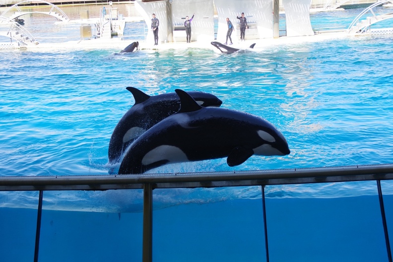 Marineland-29