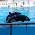 Marineland-29