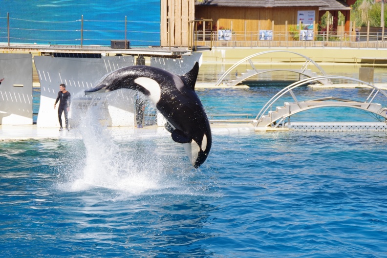 Marineland-30.JPG