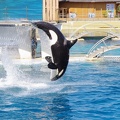 Marineland-31.JPG