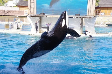 Marineland-32