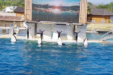 Marineland-37