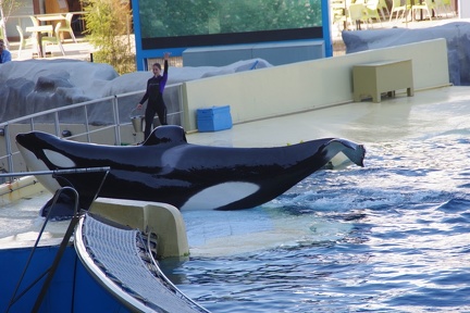 Marineland-39