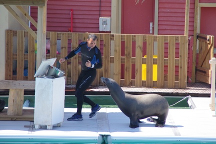 Marineland-47