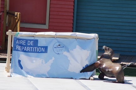 Marineland-53
