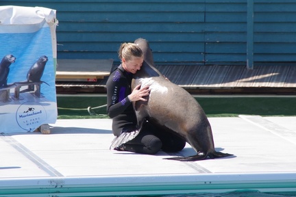 Marineland-78