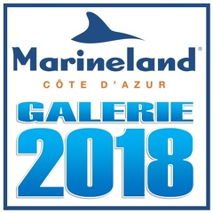 galerie-Marineland-2018