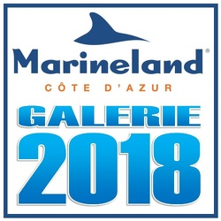 Marineland - Annee 2018