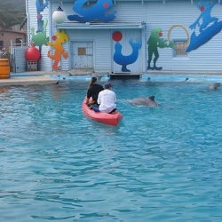 Marineland - Travaux - lagoon - les dauphins sont arrives le 4 avril 2005