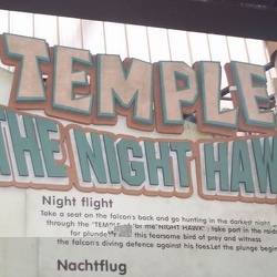 Phantasialand - coaster temple night hawk