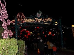 Disneyland Park - 004