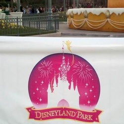 Disneyland Park - Main Street - gateau aniversaire